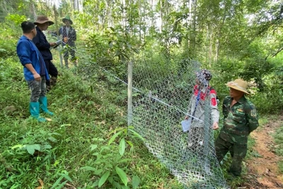 Điều chỉnh nội dung Kiểm kê đất đai và lập bản đồ hiện trạng sử dụng đất năm 2024