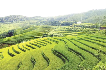 Pác Nặm vững bước trên hành trình phát triển