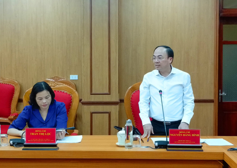 Đồng chí Nguyễn Đăng Bình, Chủ tịch UBND tỉnh, Phó Trưởng Ban Chỉ đạo phát biểu tại cuộc họp. img-20250.jpg