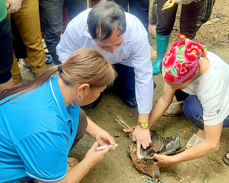 Hướng dẫn kỹ thuật tại lớp đào tạo về nuôi và phòng trị bệnh cho gà, thủy cầm do Trung tâm GDNN-GDTX huyện Chợ Đồn tổ chức. Nuoi-ga-2.jpg