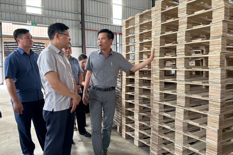 Lãnh đạo tỉnh chỉ đạo đẩy nhanh tiến độ để Nhà máy sớm đi vào hoạt động chính thức. 28.jpg