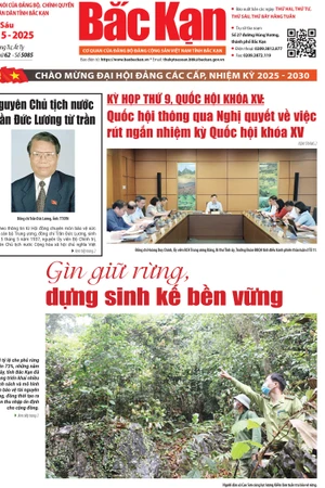 Báo in ngày 23-5-2025