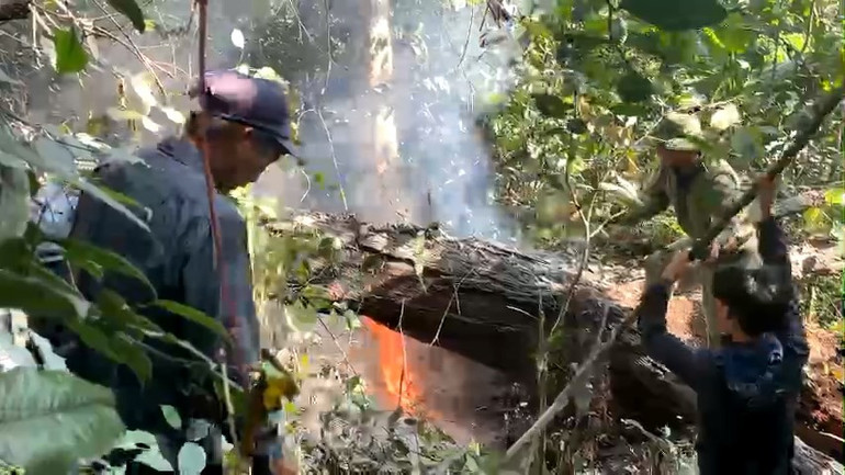 Lực lượng chức năng và người dân kịp thời phát hiện và ngăn chặn ngọn lửa ở trong rừng VQG Ba Bể do người dân bất cẩn trong quá trình bắt ong. 764764.jpg