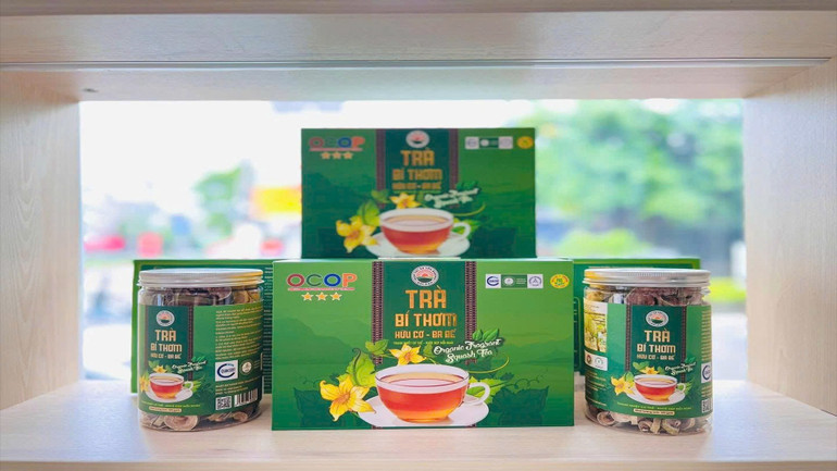 យីហោតែល្ពៅក្រអូប ដែលជាផលិតផលដែលមានការបញ្ជាក់ OCOP លំដាប់ផ្កាយ 3 មានវត្តមាននៅក្នុងទីផ្សារធំៗជាច្រើននៅទូទាំងប្រទេស។ vung-trong-bi-4.jpg