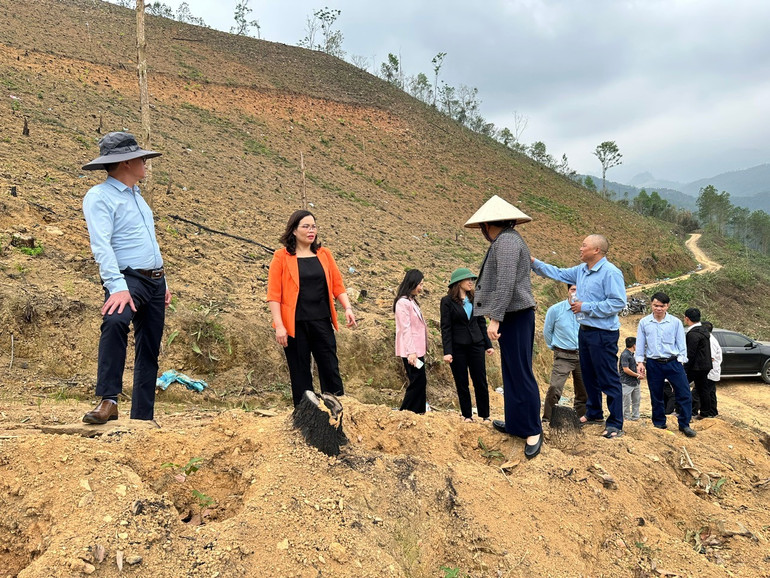 Đoàn công tác của HĐND tỉnh do đồng chí Trần Thị Lộc, Ủy viên Ban Thường vụ Tỉnh ủy, Phó Chủ tịch Thường trực HĐND tỉnh làm trưởng đoàn đến giám sát mô hình trồng cây sâm tại xã Bằng Thành (Pác Nặm). 7.jpg