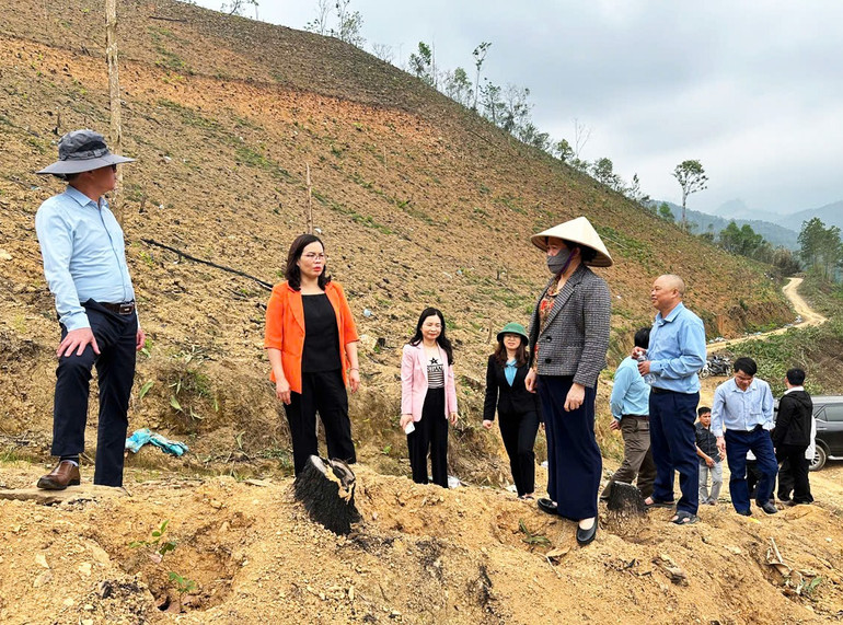Sau khi làm việc với UBND xã Bằng Thành, đoàn công tác đến thăm nắm thực tế tại Dự án liên kết sản xuất gắn với tiêu thụ sản phẩm cây dược liệu Cát Sâm do HTX Vạn Xuân làm chủ trì liên kết cộng đồng trên địa bàn xã. 33.jpg