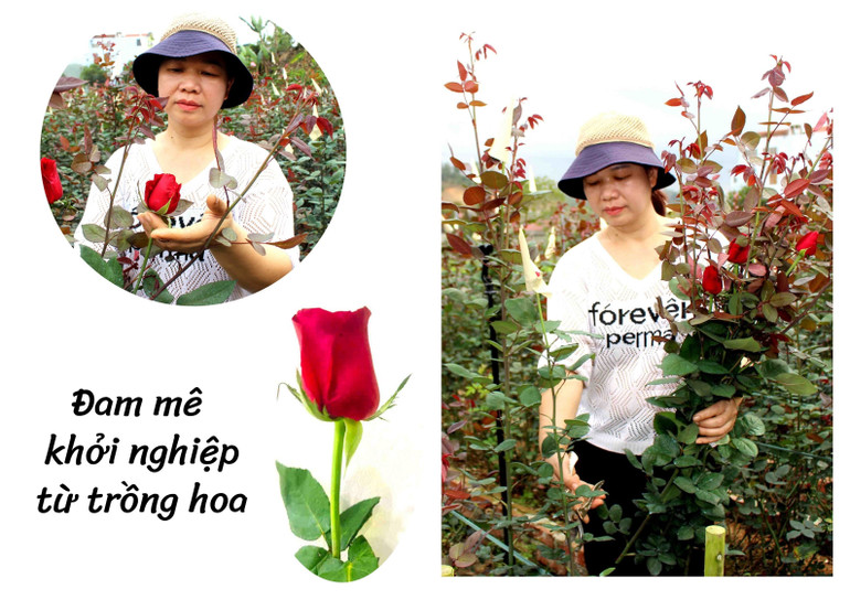 anh-ghep-sua.jpg
