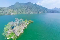 Phát huy tinh thần đoàn kết, xây dựng Ba Bể xanh