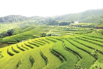 Pác Nặm vững bước trên hành trình phát triển