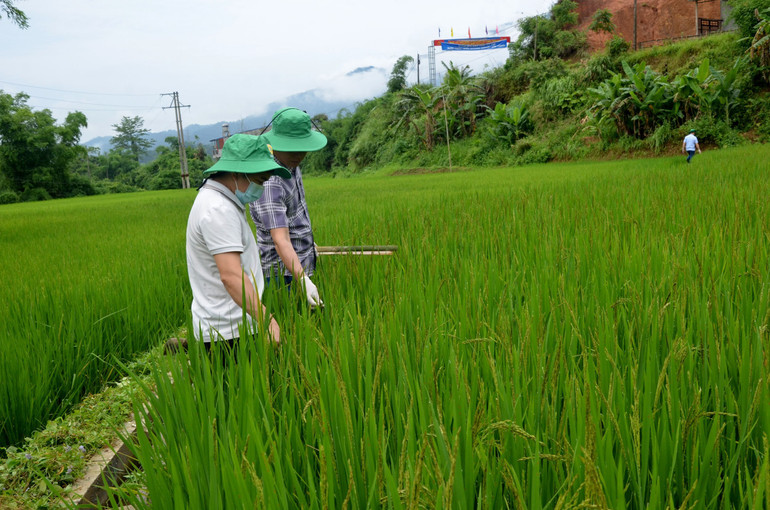 chuyen-doi-xanh.jpg