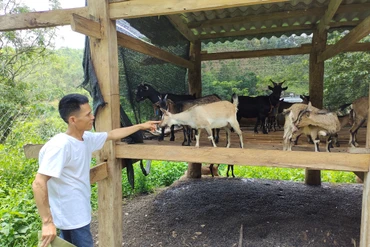 Dương Sơn mở lối sinh kế cho người khuyết tật