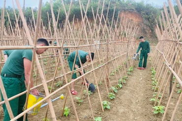 Chuyện của "lính mới" trong quân ngũ