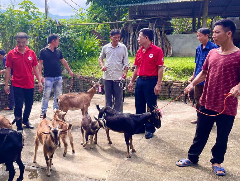 Hỗ trợ sinh kế cho hộ có hoàn cảnh đặc biệt khó khăn tại xã Khang Ninh. IMG_6436 (2).jpg