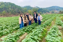 Hệ thống hợp tác xã tạo “lực đẩy” cho sản phẩm nông nghiệp vươn xa