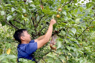 Kỳ 1: Nhiều đề tài KH&CN phát huy hiệu quả tích cực