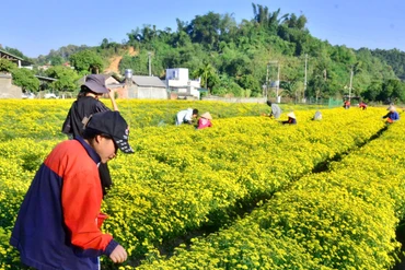 Kinh tế tập thể đóng góp vào giảm nghèo ở TP. Bắc Kạn