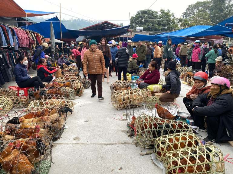 Hàng trăm chiếc lồng gà lớn nhỏ được bày bán. ga-thien.jpg
