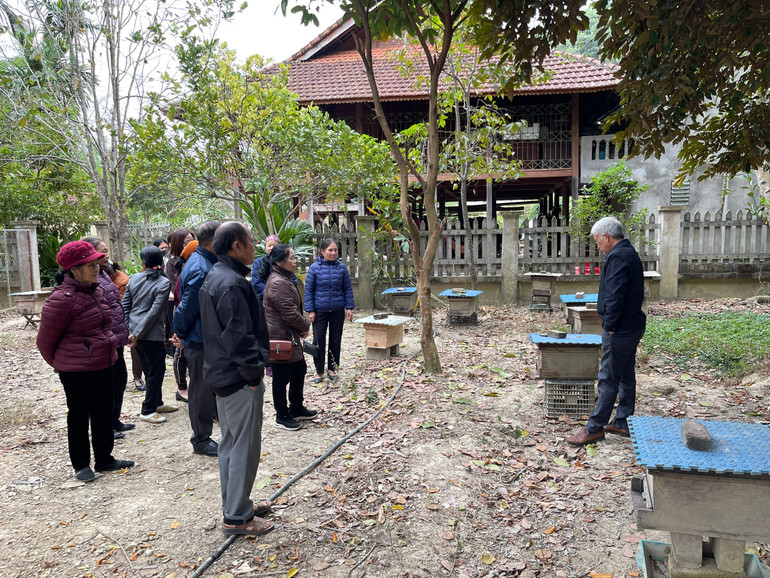 Lãnh đạo địa phương thăm mô hình nuôi ong của Tổ hợp tác nuôi ong thôn Bản Còn. lanh-dao-dia-phuong-tham-quan-mo-hinh-nuoi-ong.jpg
