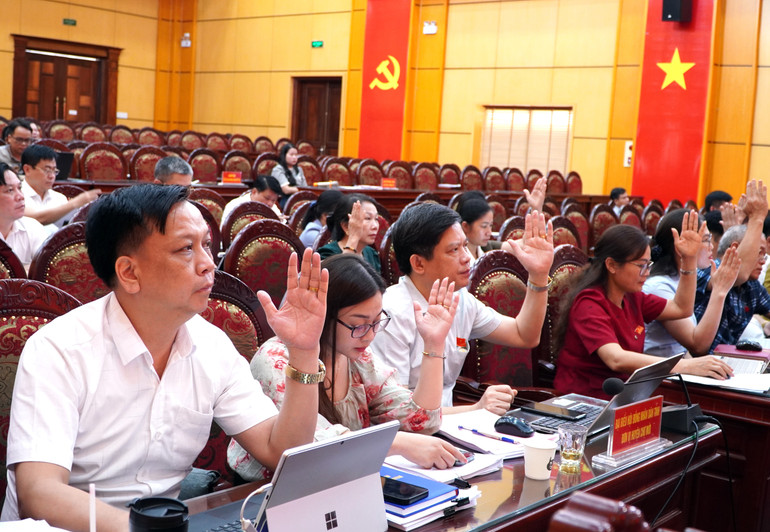 Biểu quyết thông qua các Nghị quyết tại Kỳ họp. dsc01413.jpg