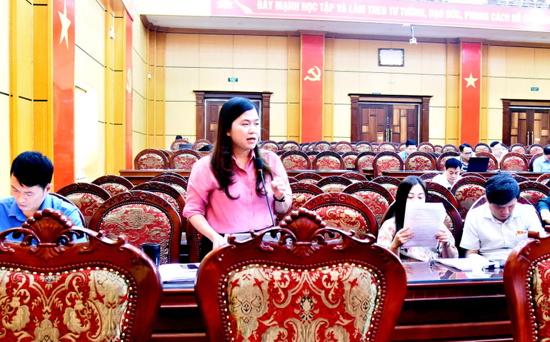 Đại biểu thảo luận nhiều nội dung quan trọng. dsc-3309.jpg