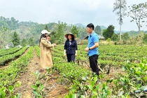 Giám sát việc triển khai thực hiện Chương trình MTQG tại Chu Hương