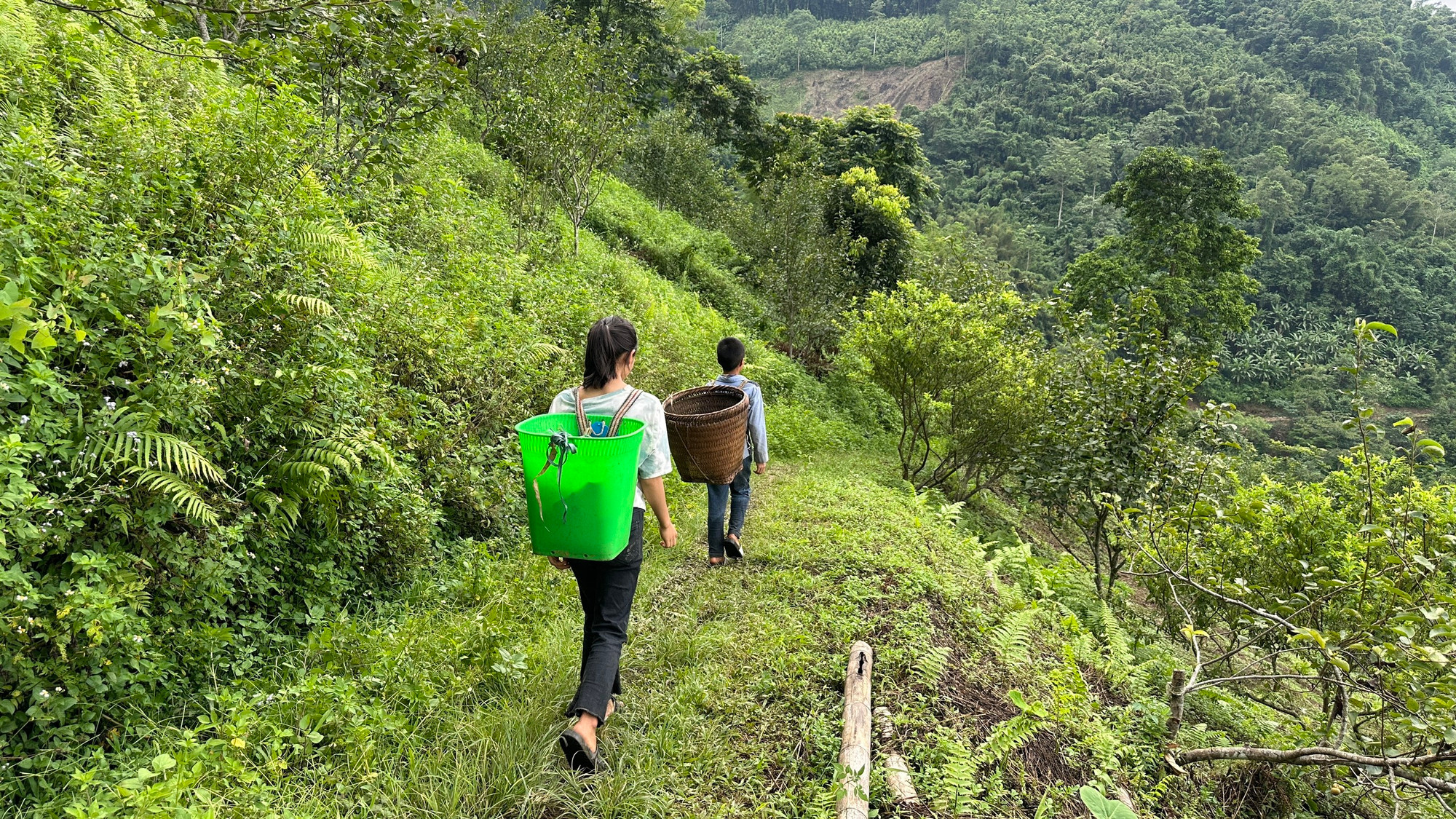 Trẻ ở thôn vùng cao Nà Pài đeo trên lưng những chiếc gùi to để lên nương cùng bố mẹ. z5649503514357_48da211e8783e4ffe629f328ebd6614e.jpg