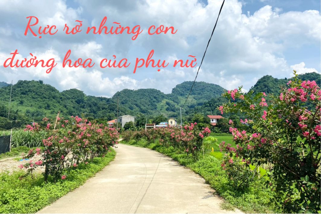 Con đường hoa tại thôn Bản Phố, xã Cao Kỳ, huyện Chợ Mới. Rực rõ những con đường hoa của phụ nữ.png