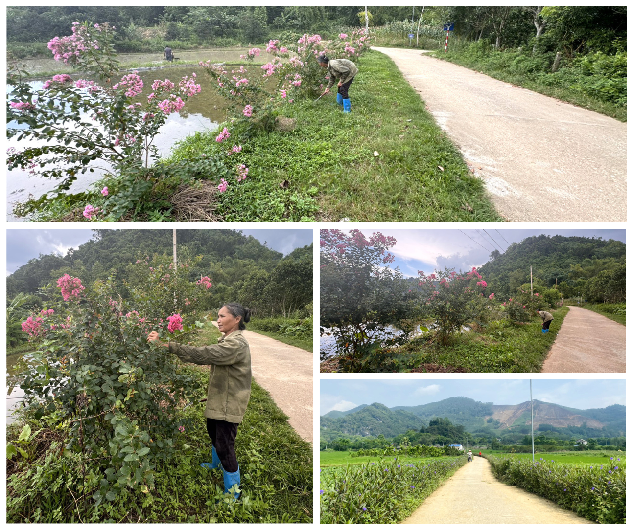 Phụ nữ tích cực chăm sóc những đoạn đường hoa. Dark Brown Photo Collage Fall Facebook Post.png