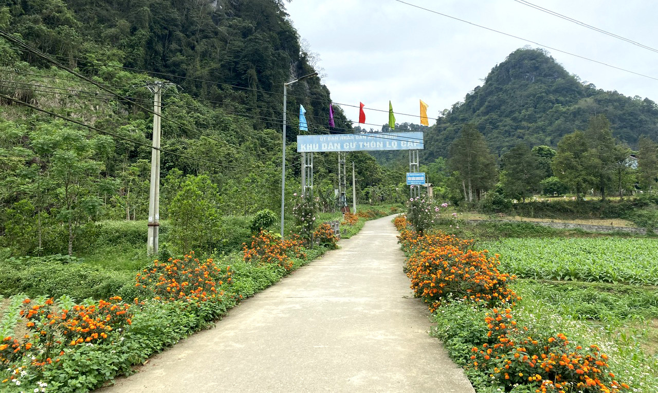 Đoạn đường hoa tại thôn Lọ Cặp, xã Sỹ Bình (Bạch Thông). sy binh 1.jpg